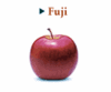 Applevar_fuji